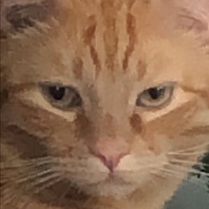 Meet your Posher, Ethan